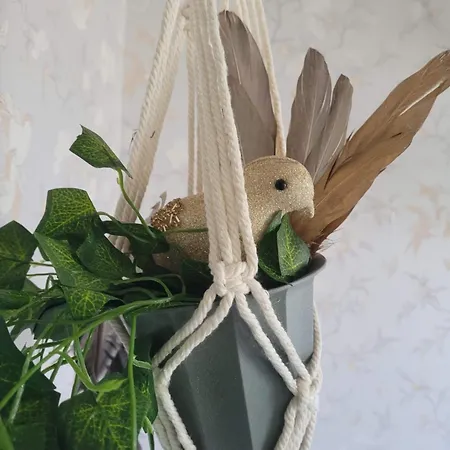 Elaemysmajoitus Olipa Kerran Πανδοχείο *